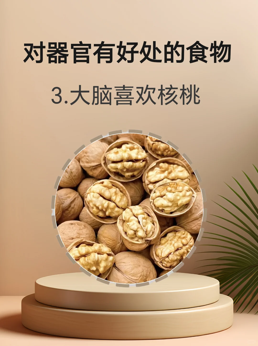 对身体器官有好处的食物