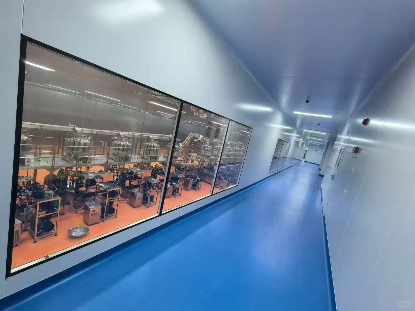 带你逛逛2万平方的牛肉丸生产车间