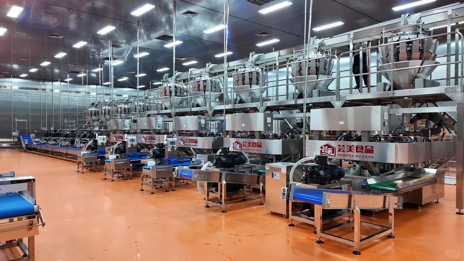 带你逛逛2万平方的牛肉丸生产车间