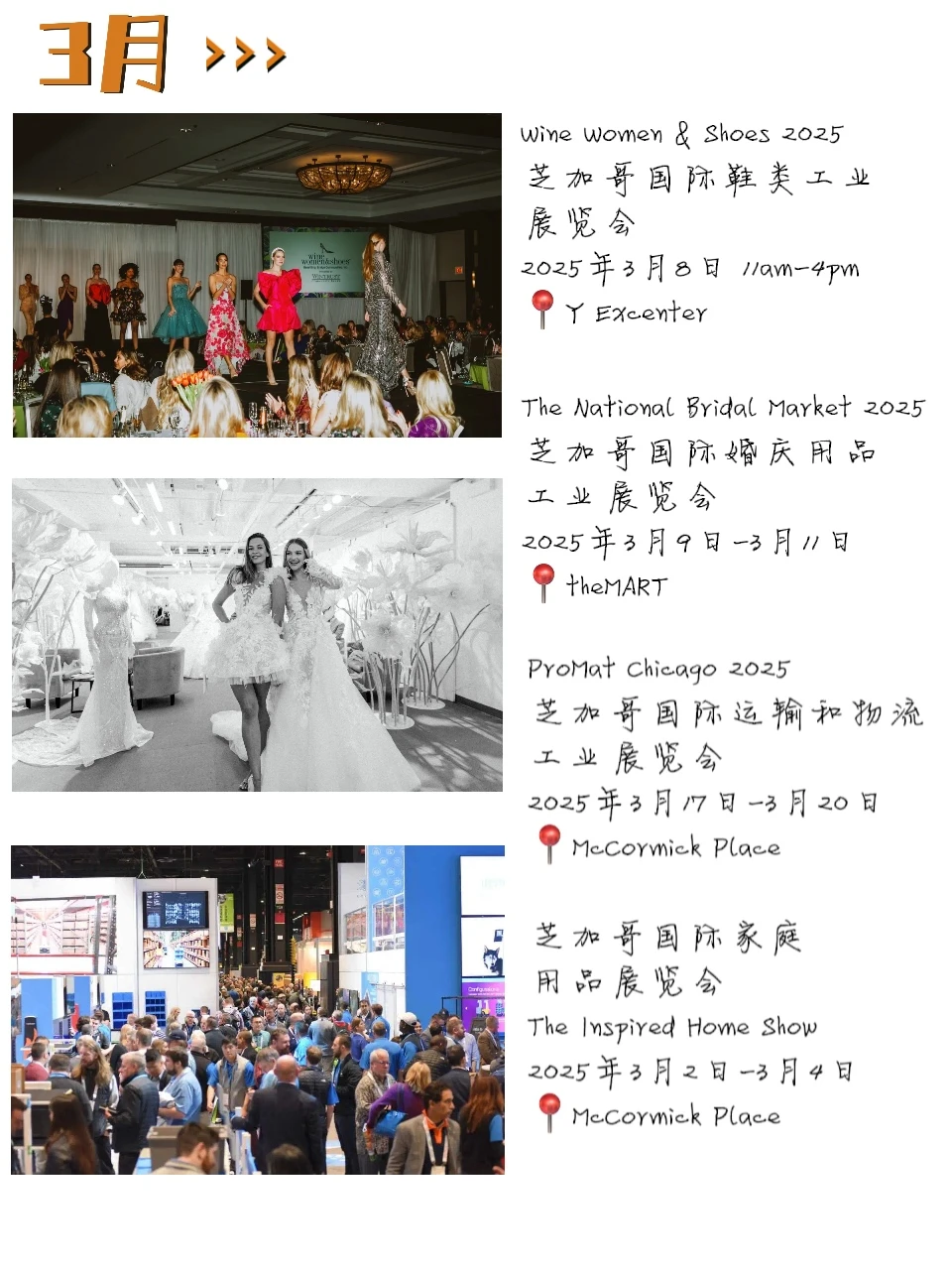 “国际芝”即将迎来被展会硬控的几个月‼️