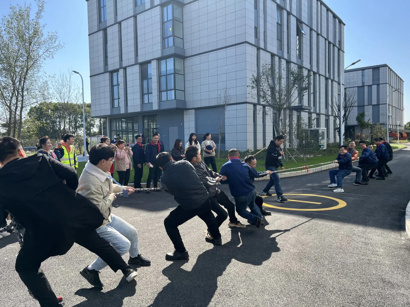 诚招质量工程师、项目工程师