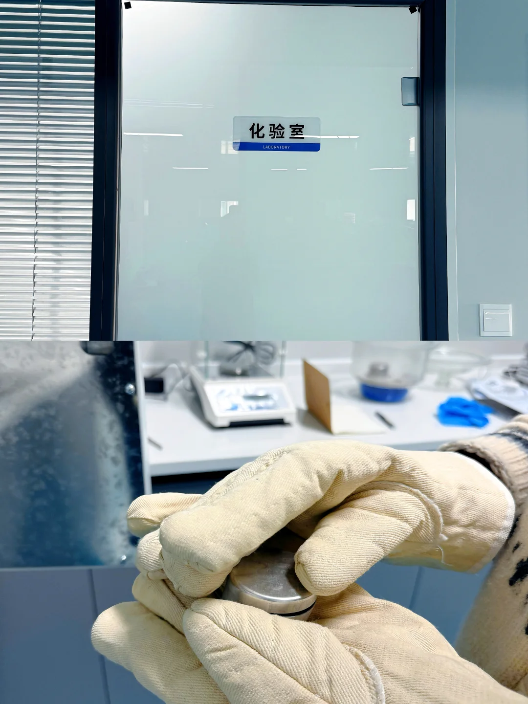 报告云股东!面包厂最新进度汇报~