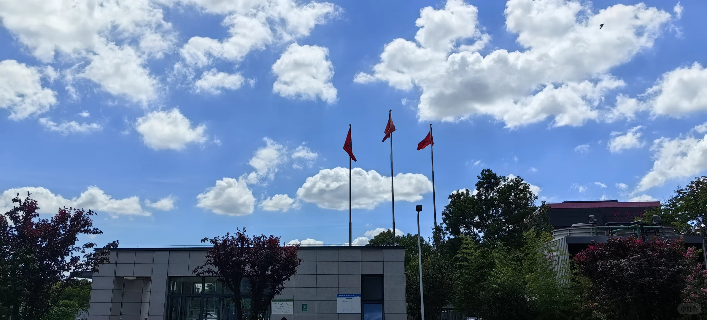 诚招质量工程师、项目工程师