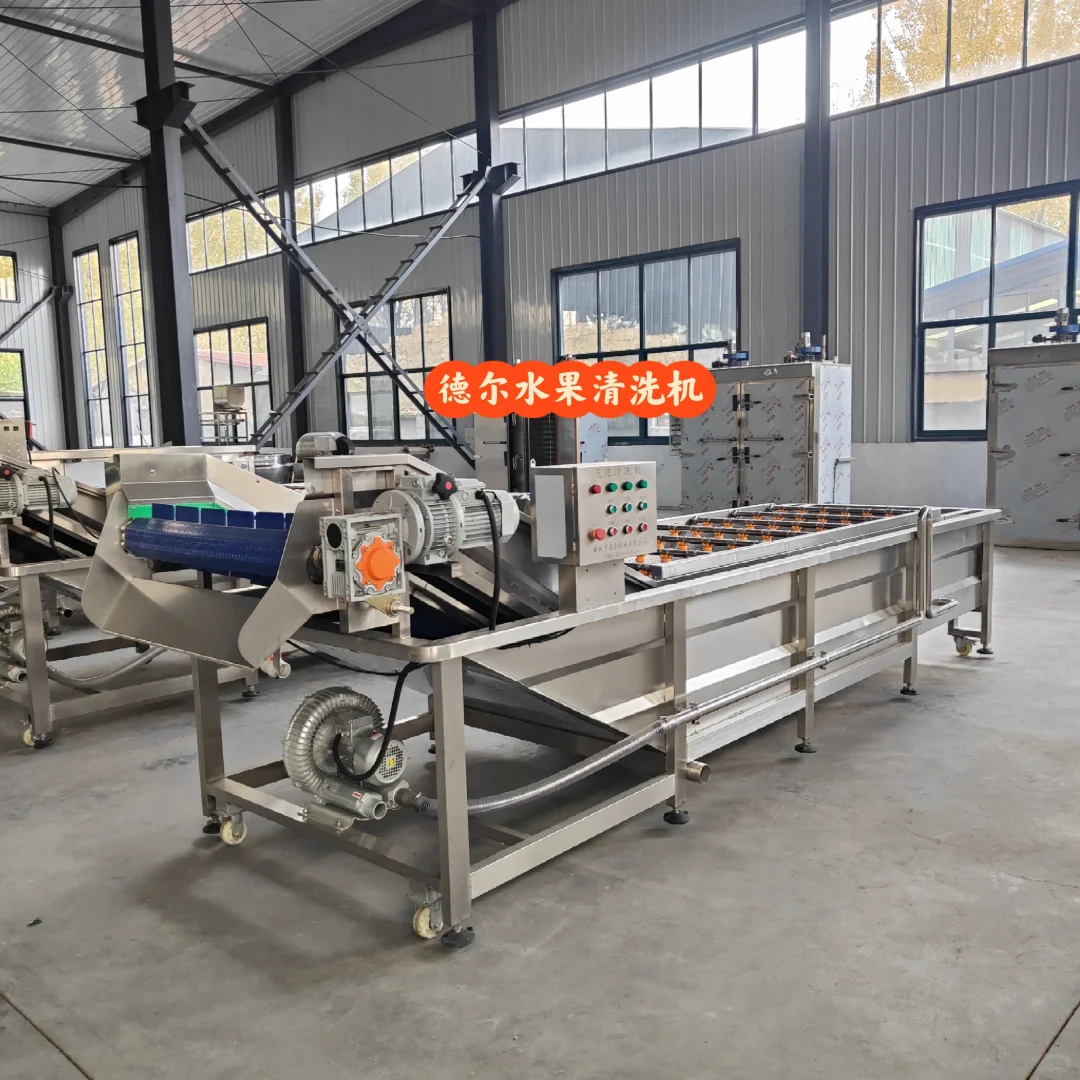 果蔬中草药清洗机专业生产厂家