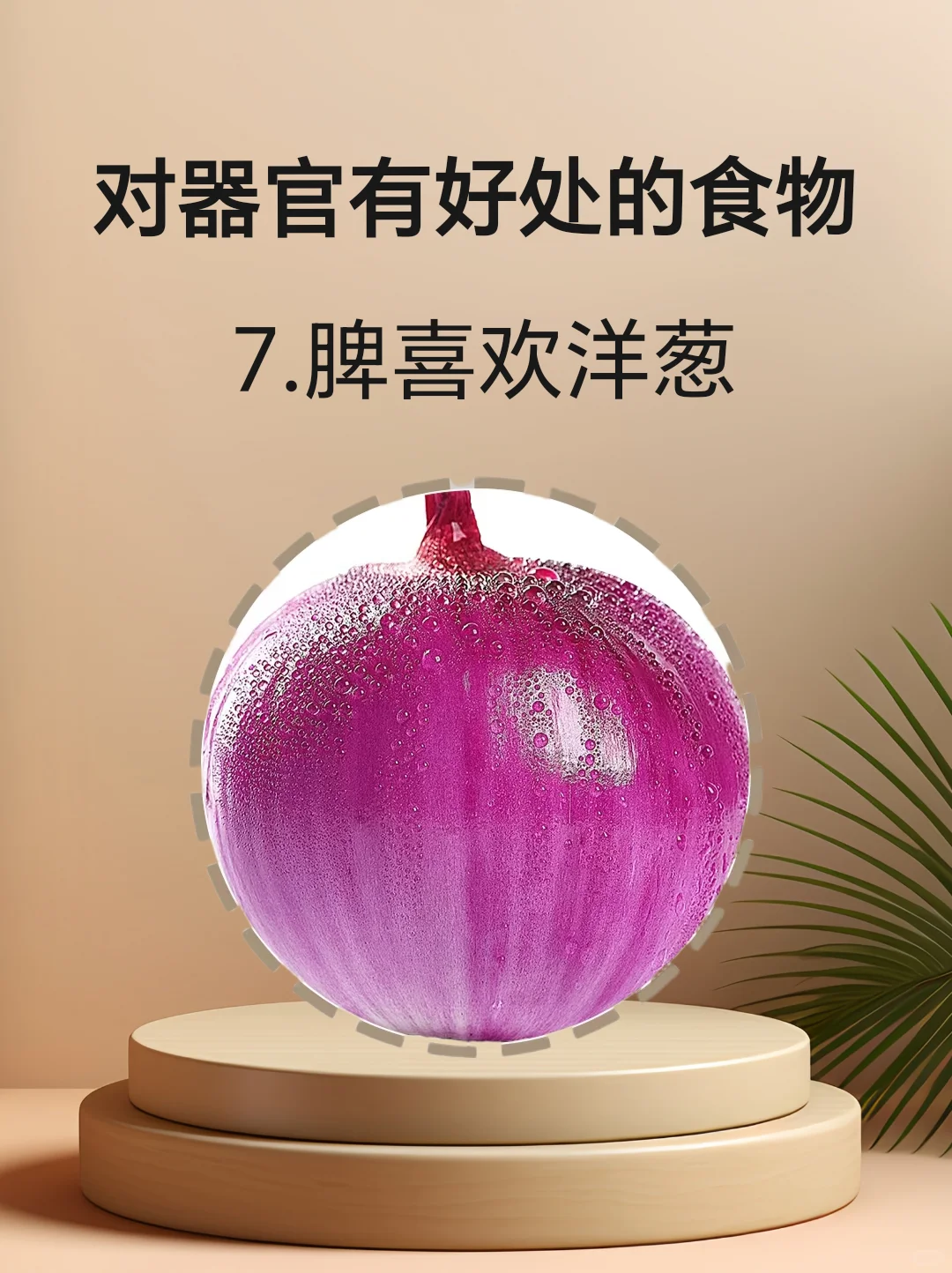 对身体器官有好处的食物