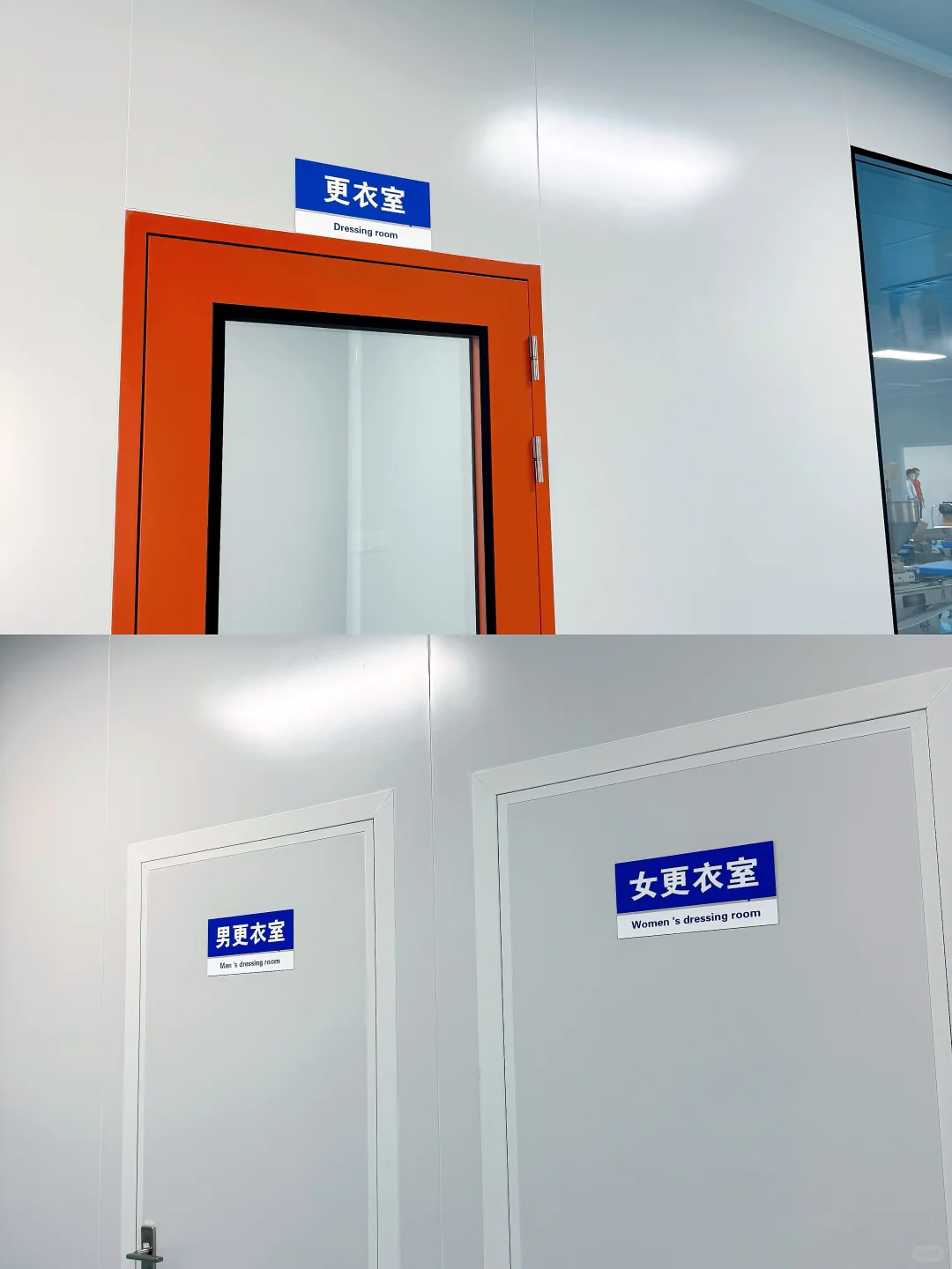 报告云股东!面包厂最新进度汇报~