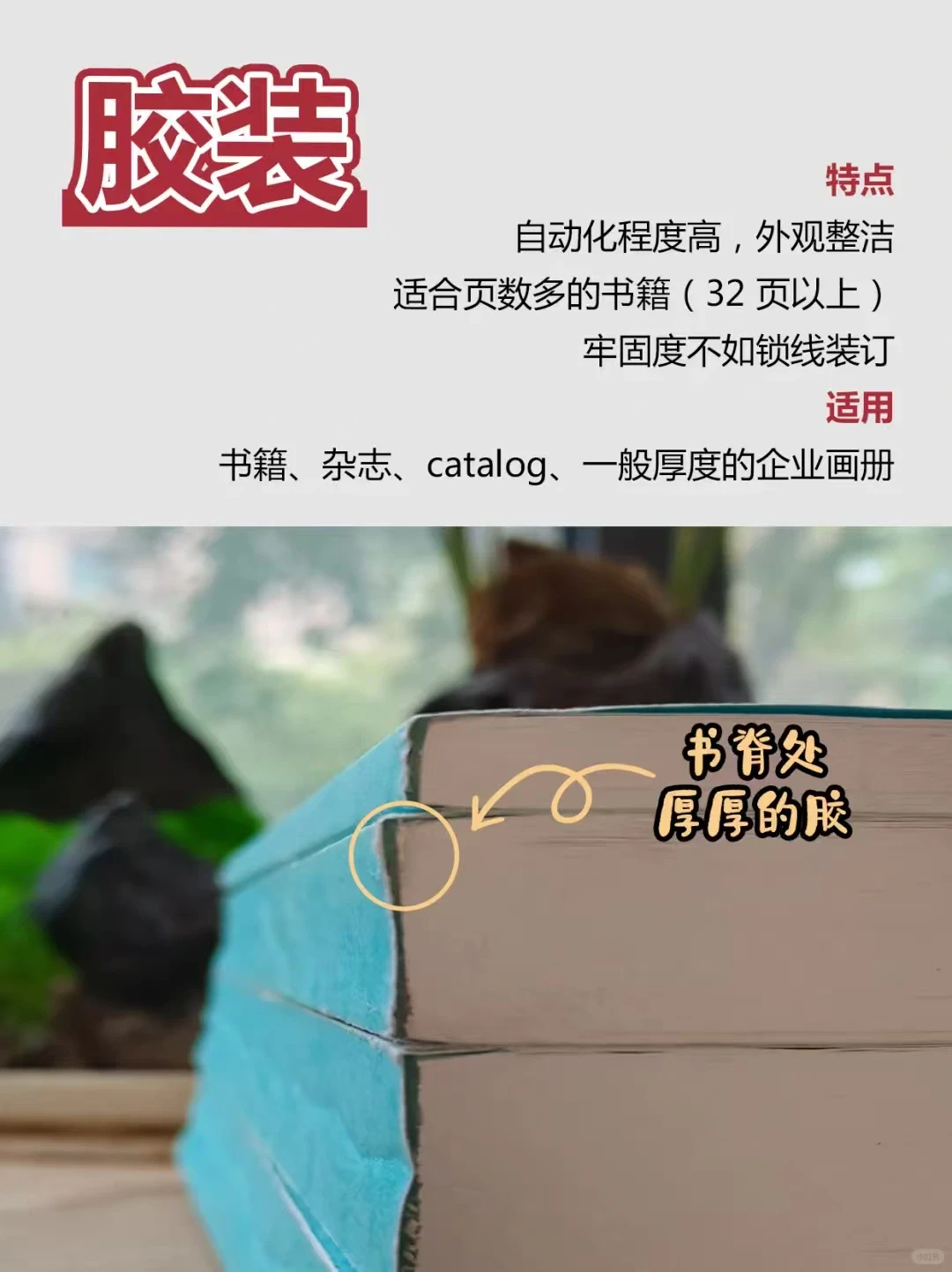 印刷画册必看!骑马钉还是胶装,一图告诉你答