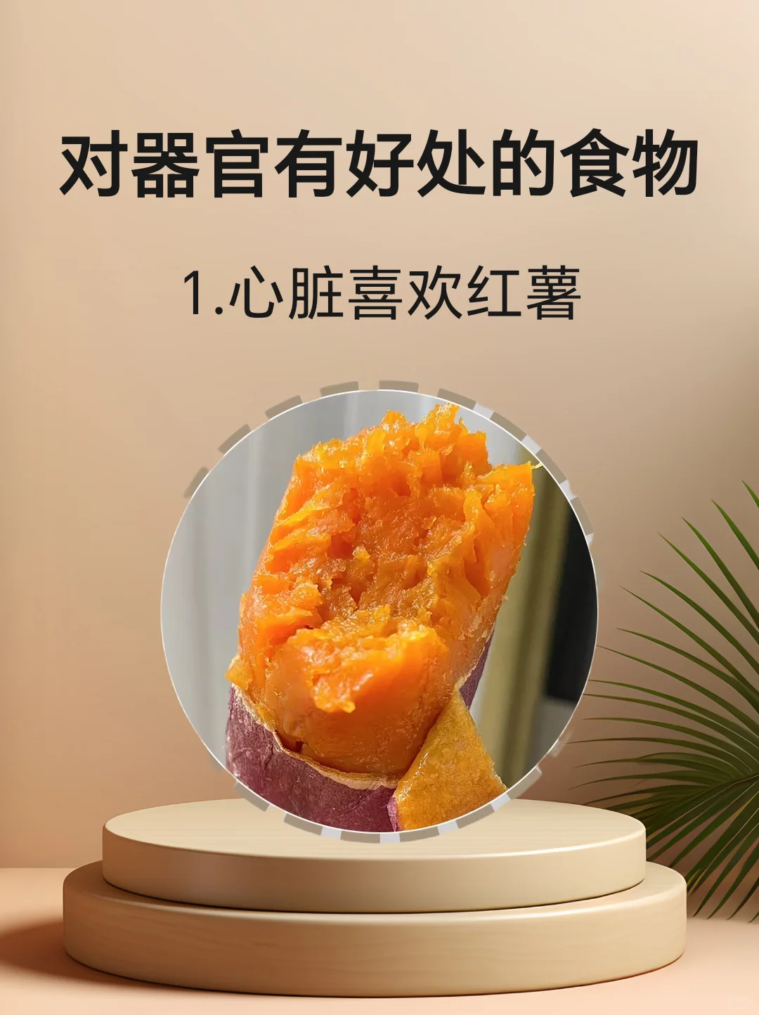 对身体器官有好处的食物