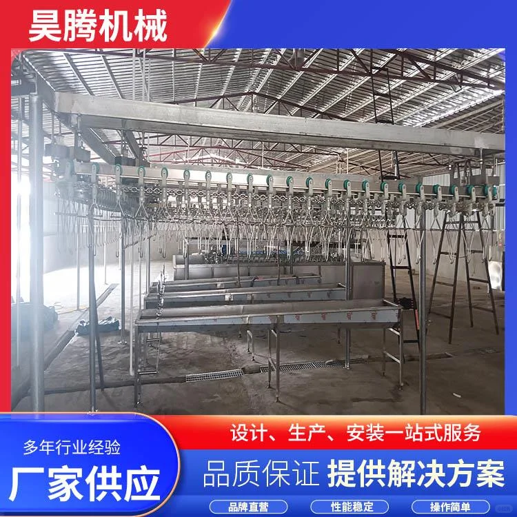 白条鸡宰杀生产线-诸城昊腾机械