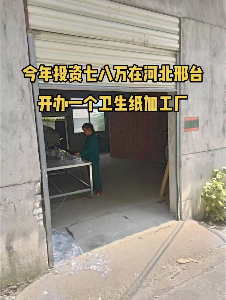 今年在河北邢台老家办个小型卫生纸加工厂