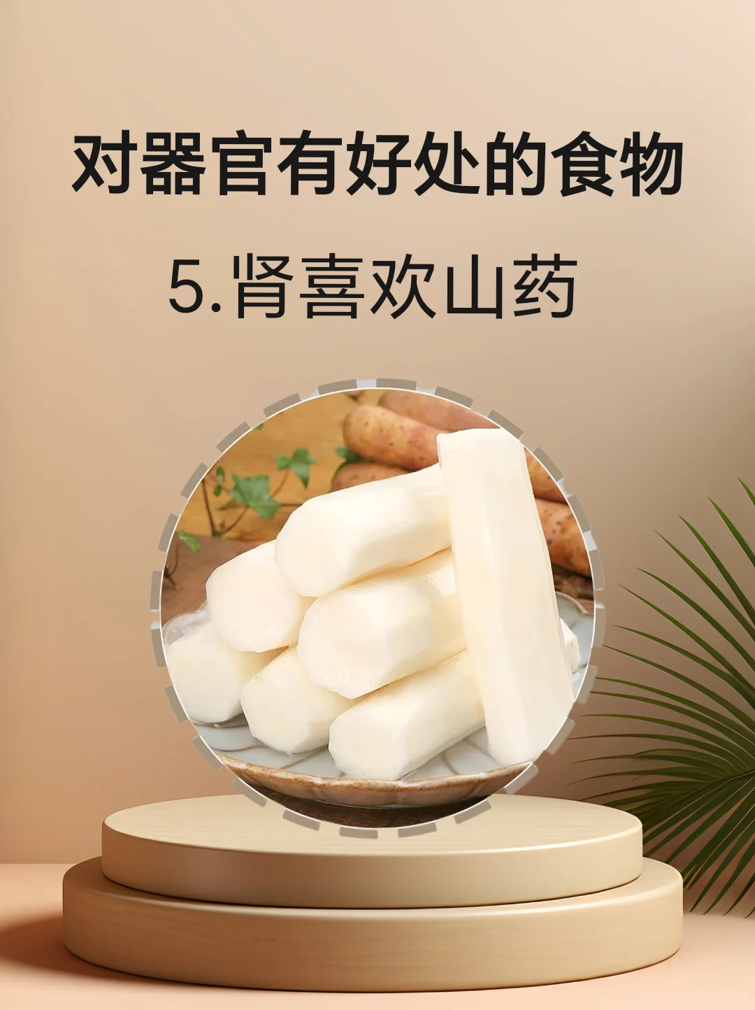 对身体器官有好处的食物