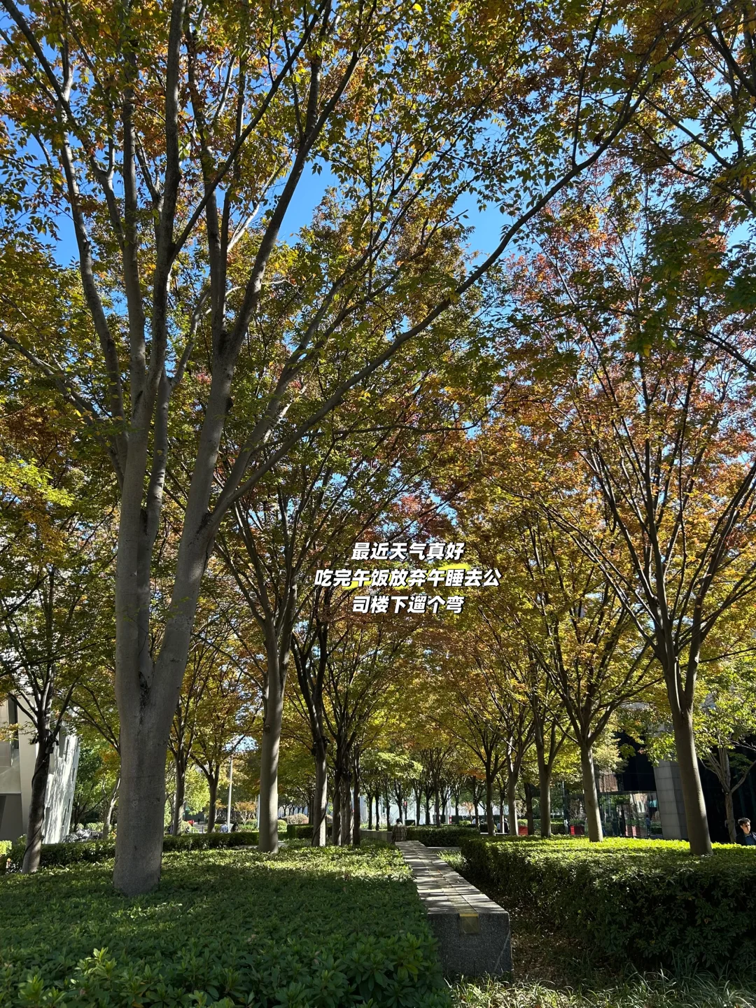 安世风波下聊聊供应链风险管理 2️⃣