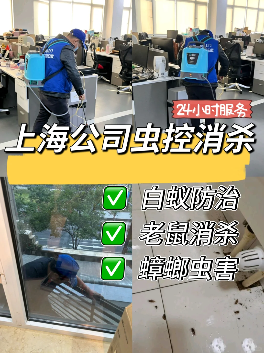上海公司虫害消杀|精准勘察,杜绝虫害滋生