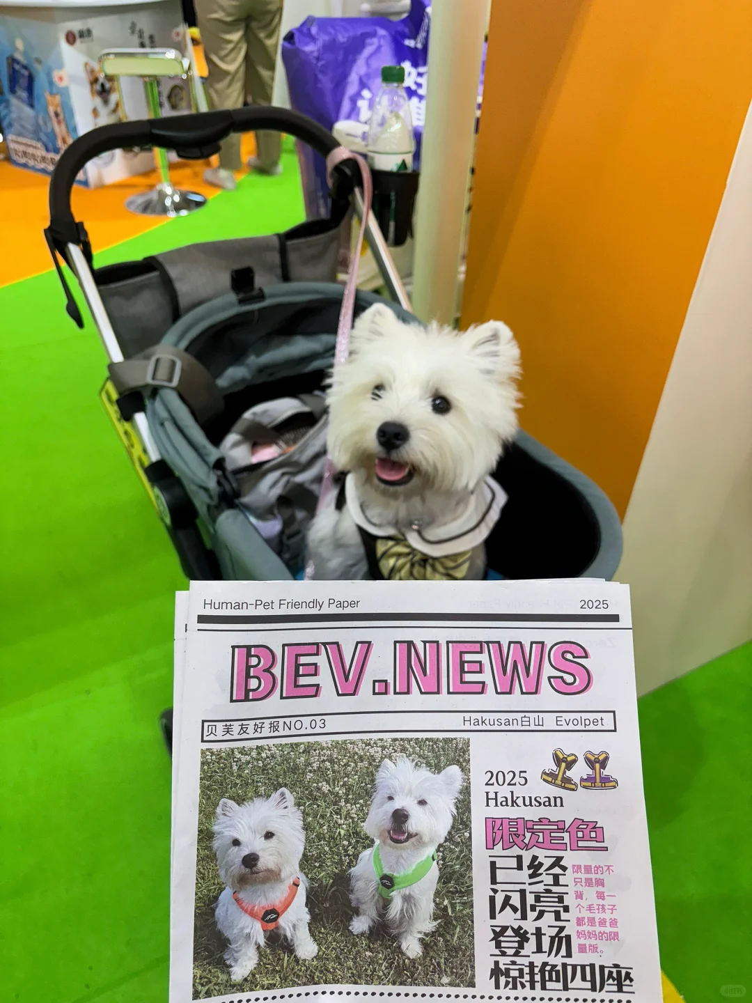 亚宠展 和小?一起逛 最开心?