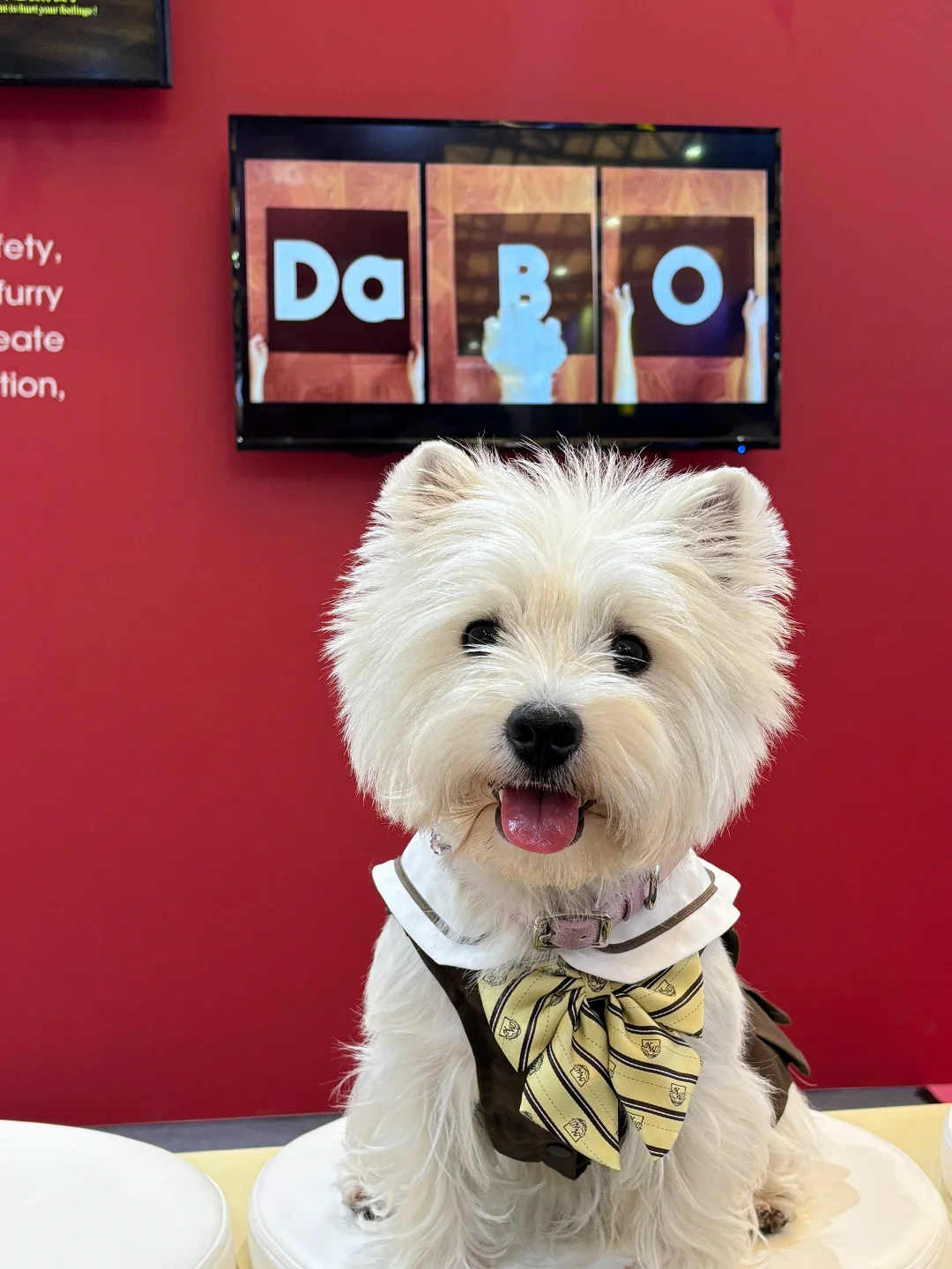 亚宠展 和小?一起逛 最开心?