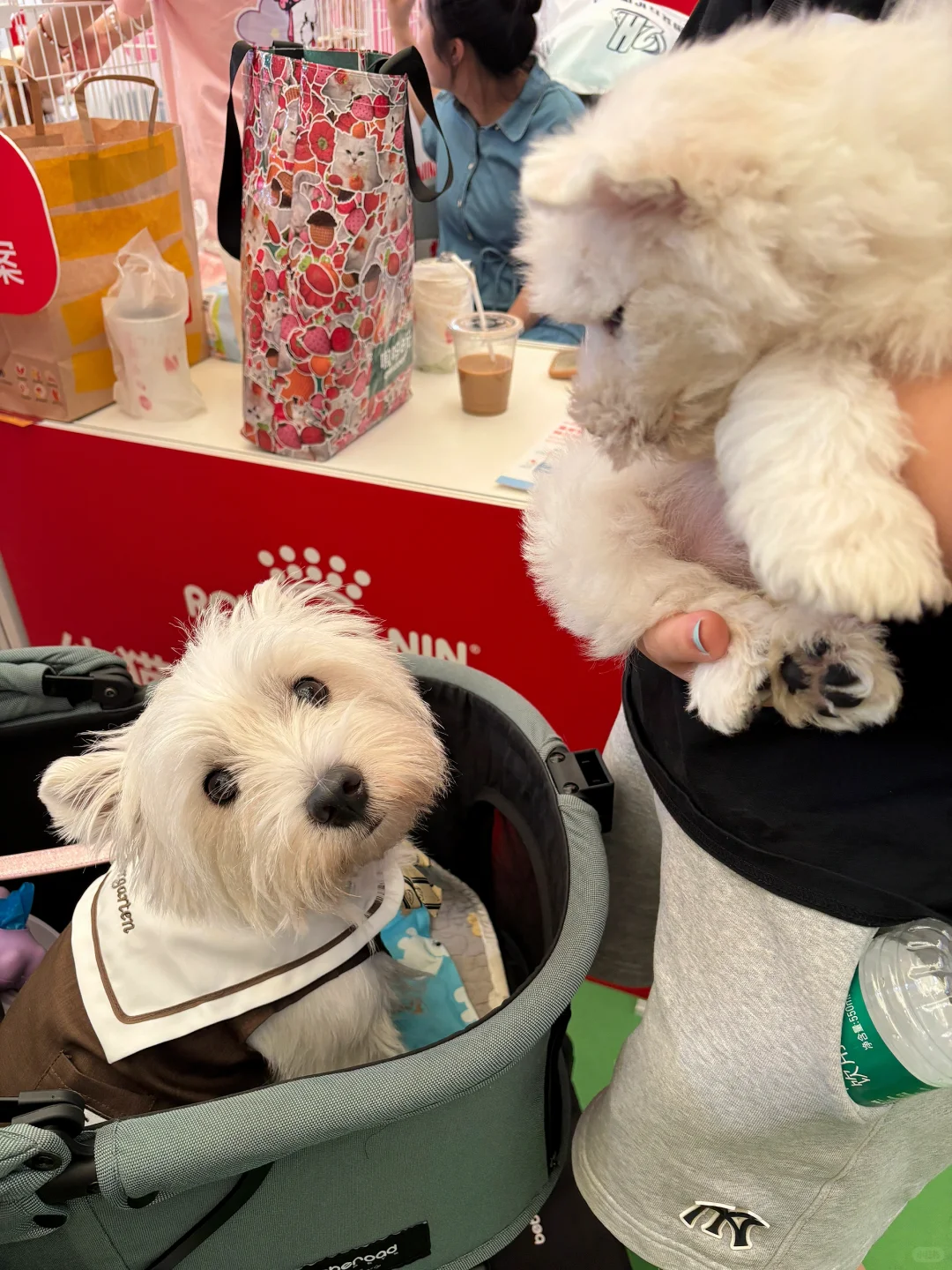 亚宠展 和小?一起逛 最开心?