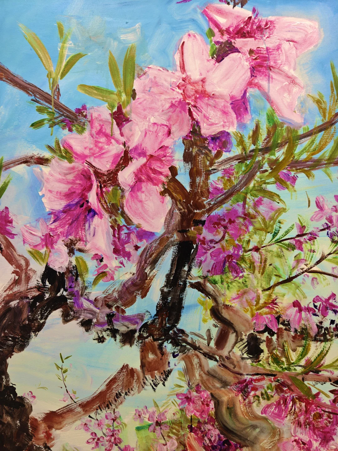 上海初冬太舒服了，看艺术的季节