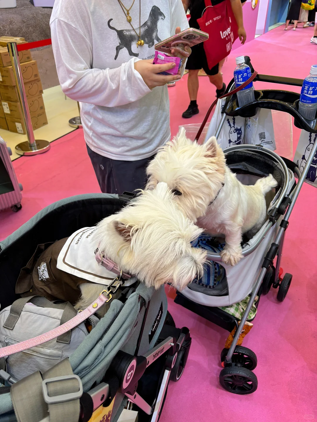 亚宠展 和小?一起逛 最开心?