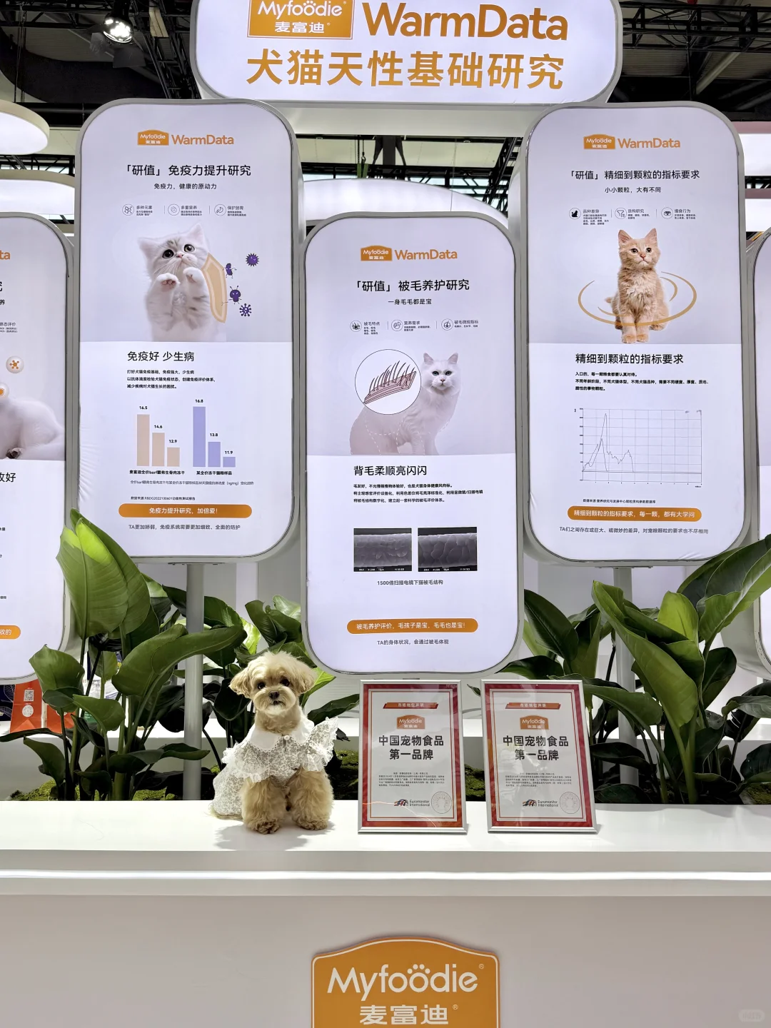 可是它真的好可爱