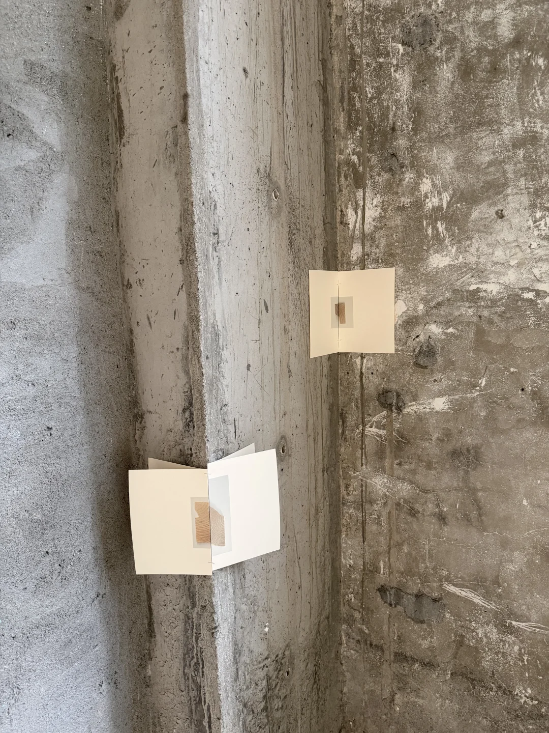 ?✨当书不再是书,我们该如何与它重逢?