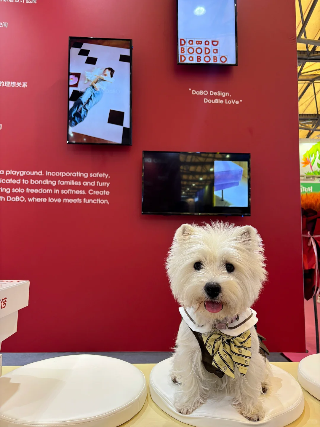 亚宠展 和小?一起逛 最开心?