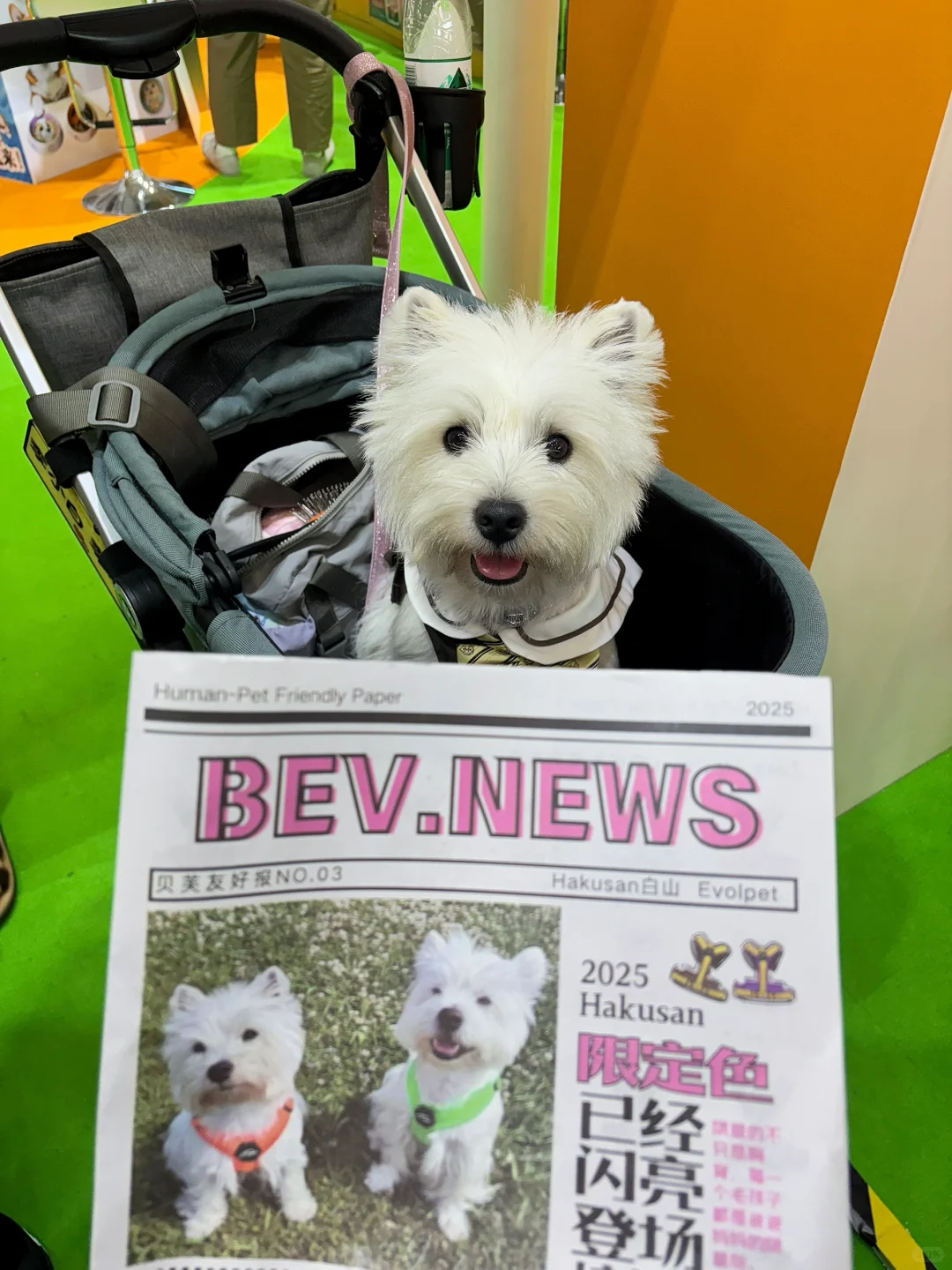 亚宠展 和小?一起逛 最开心?