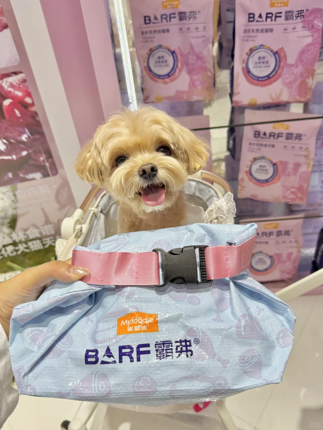 可是它真的好可爱