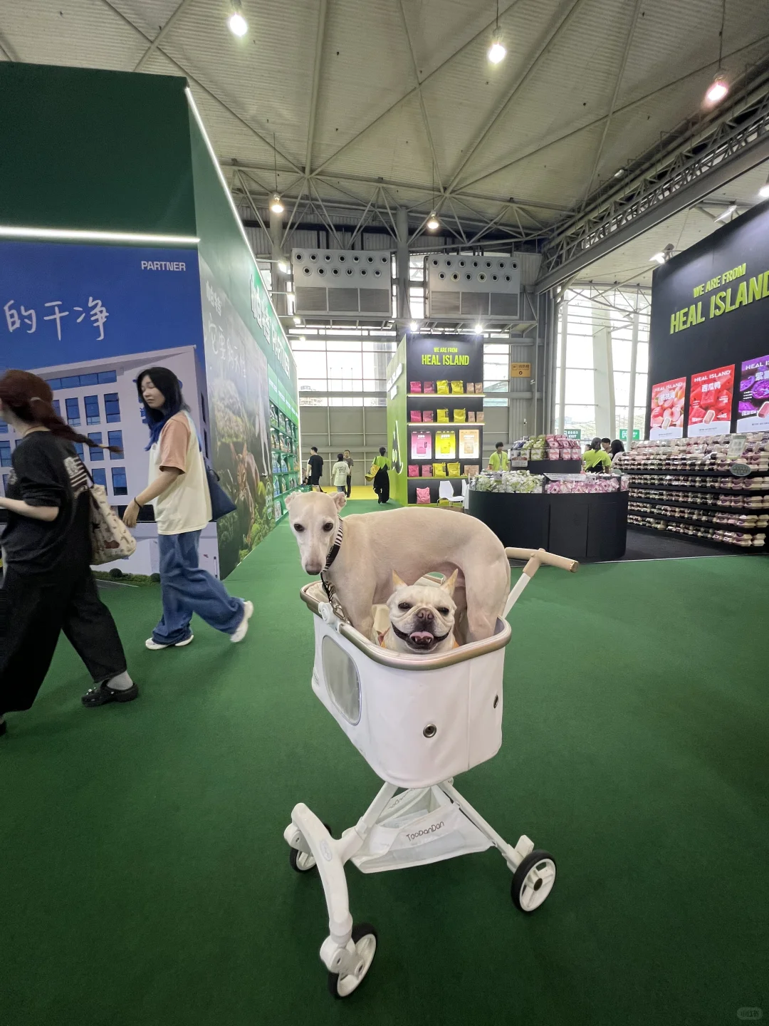 社恐男孩逛宠博会