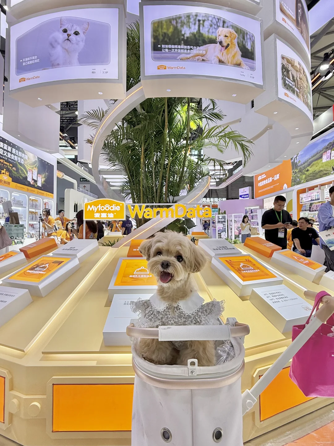 可是它真的好可爱