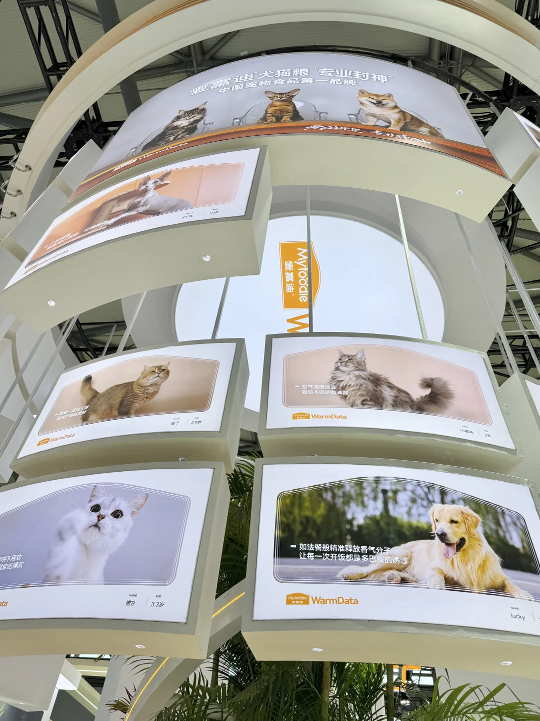 可是它真的好可爱