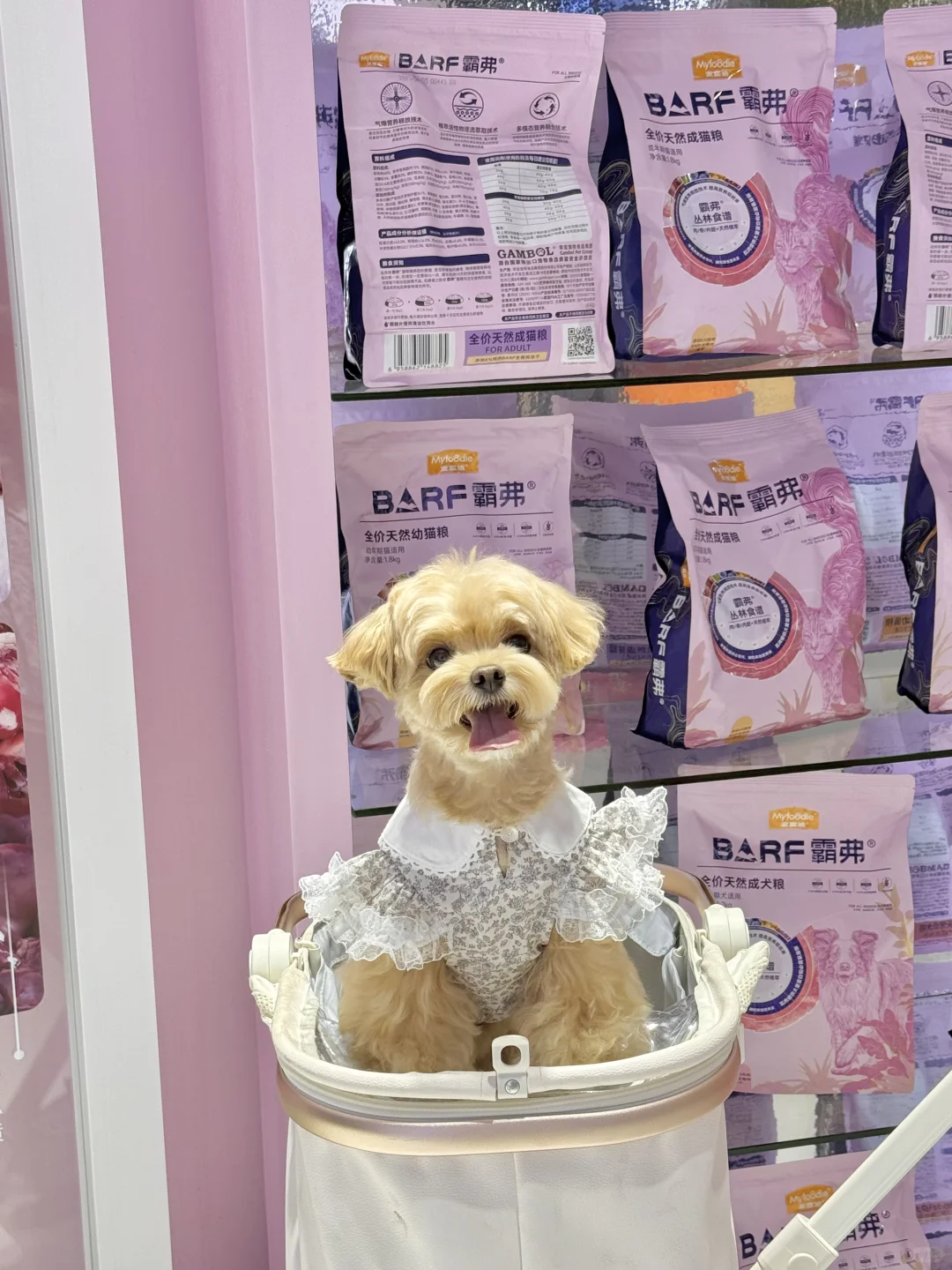 可是它真的好可爱