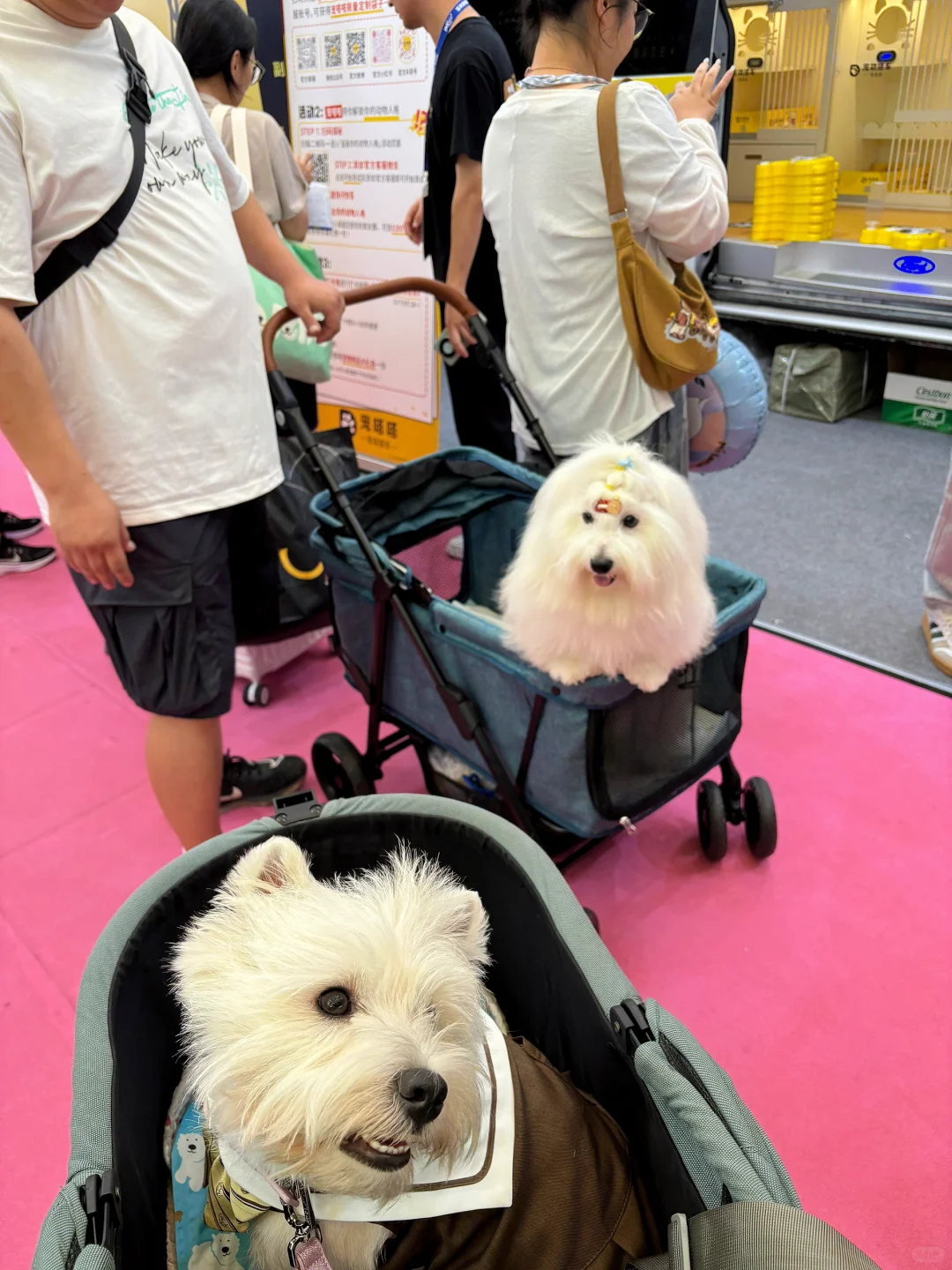 亚宠展 和小?一起逛 最开心?