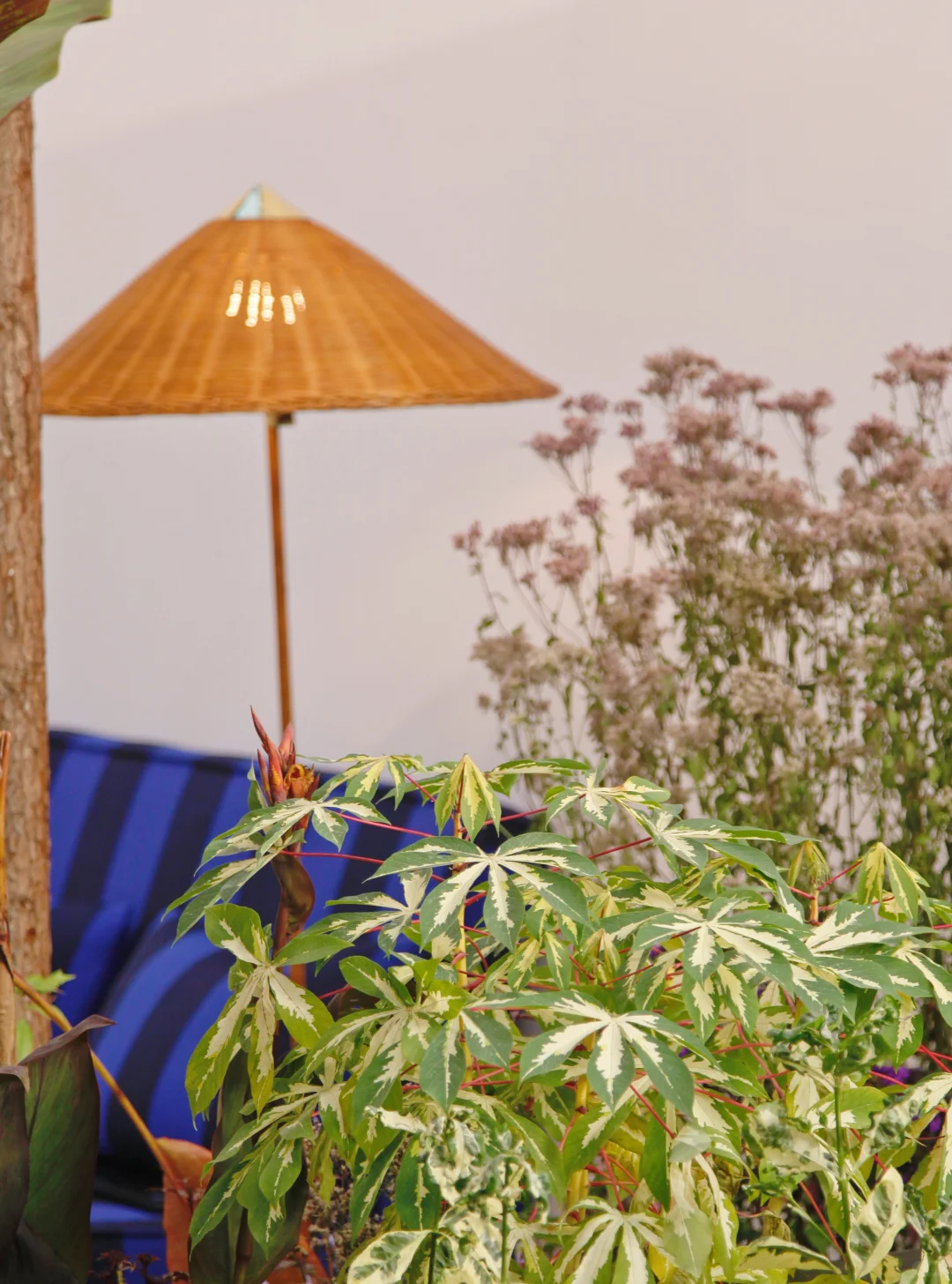 西岸艺博会|tbh超惊艳小屋花园|逛展