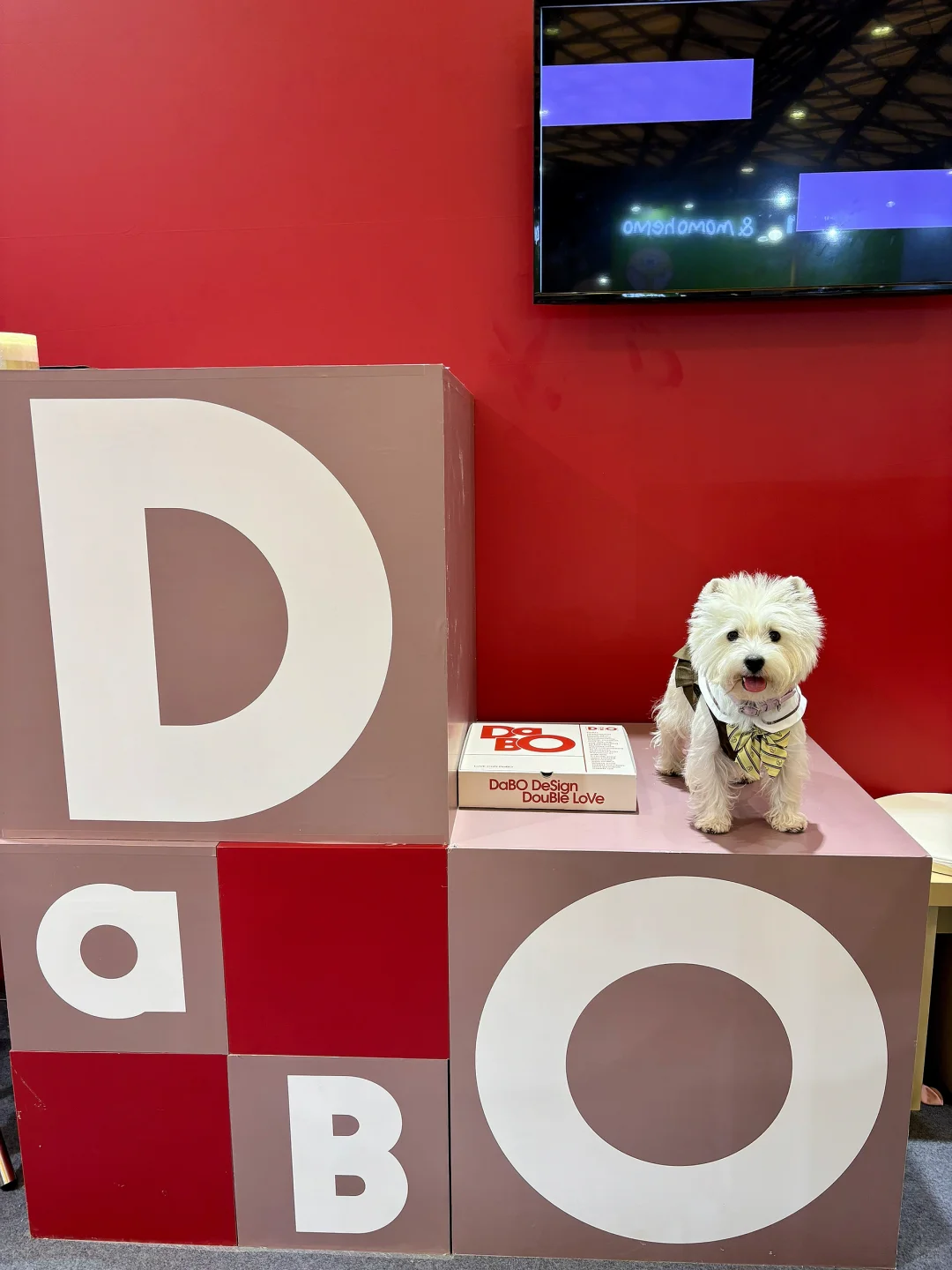 亚宠展 和小?一起逛 最开心?