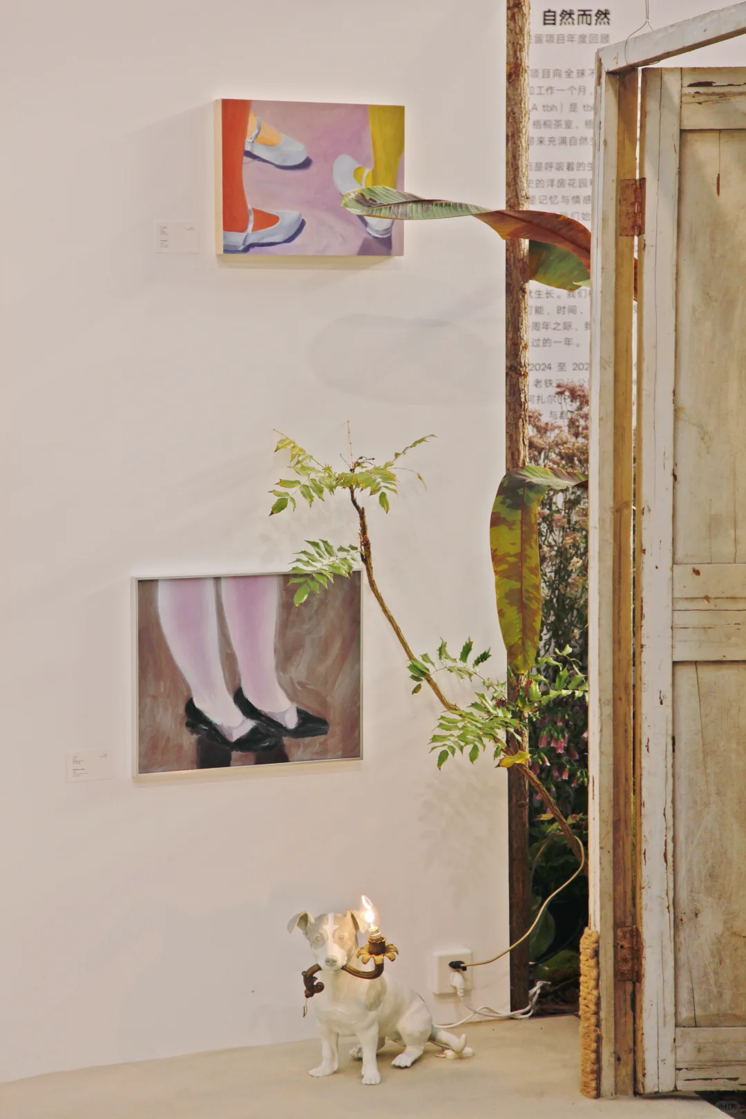 西岸艺博会|tbh超惊艳小屋花园|逛展