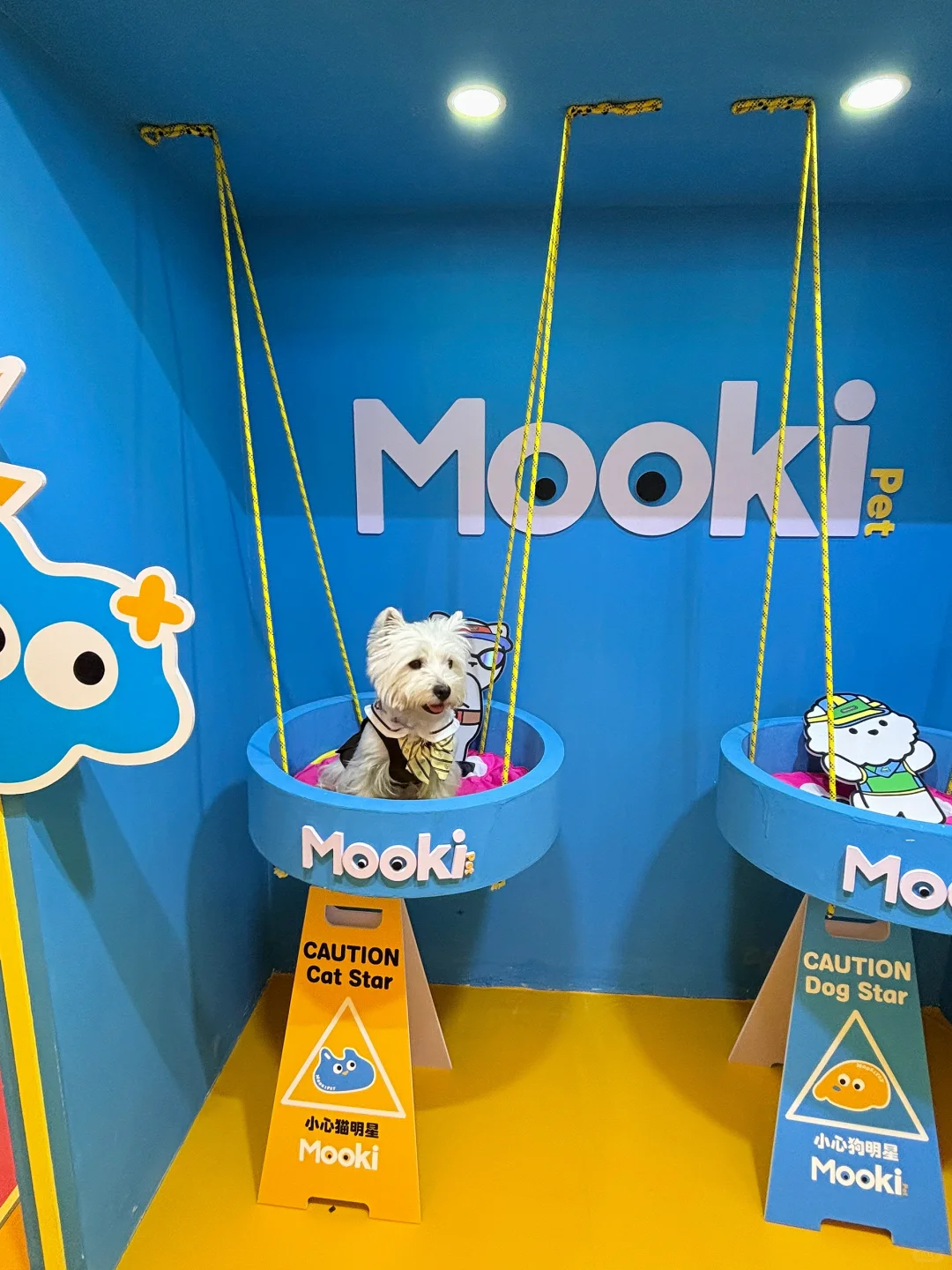 亚宠展 和小?一起逛 最开心?