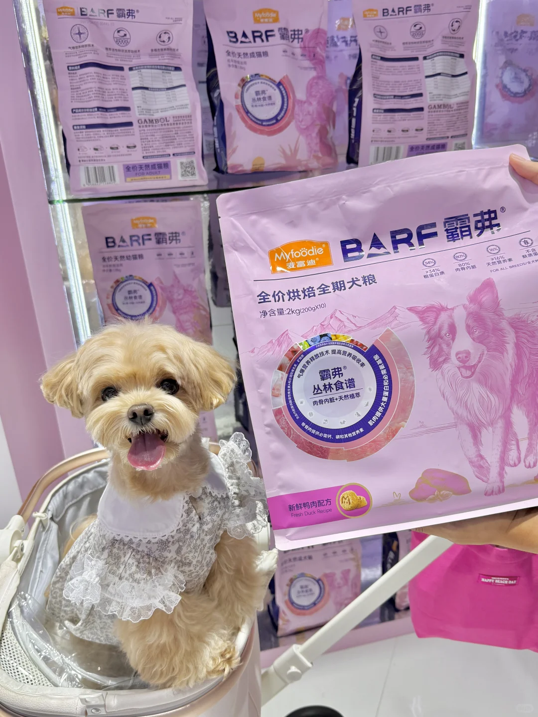 可是它真的好可爱