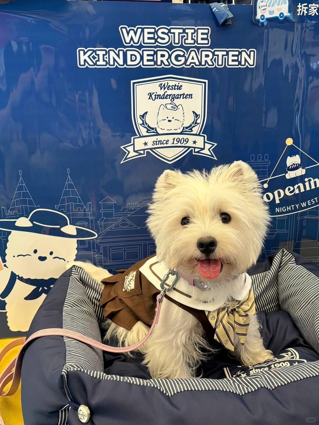 亚宠展 和小?一起逛 最开心?