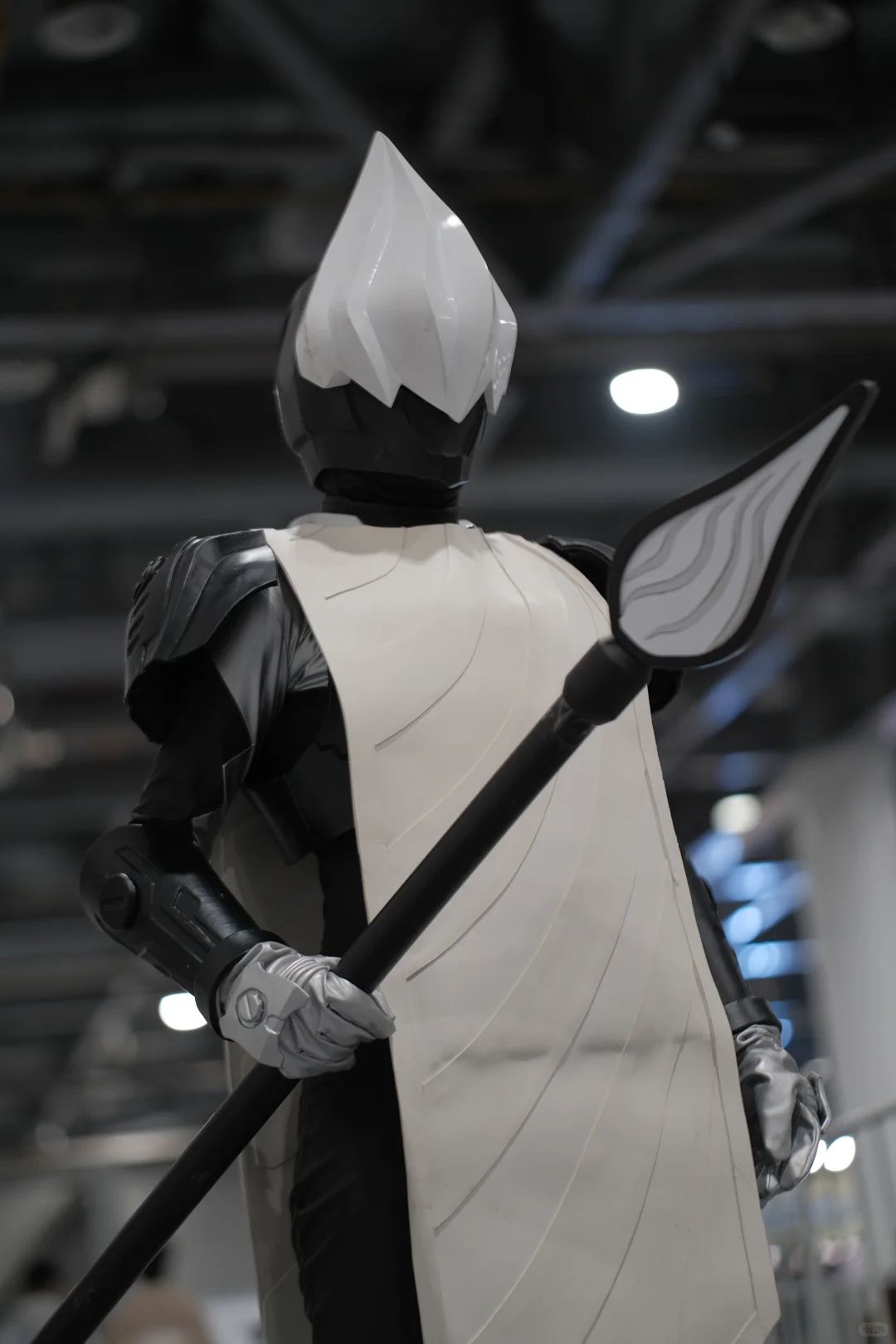 杭州动漫文化博览会d1结算