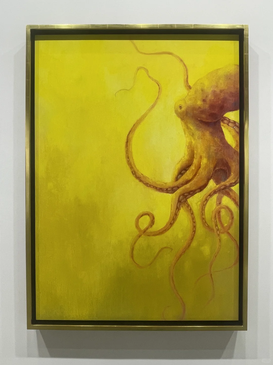 也挑出一些我喜欢的