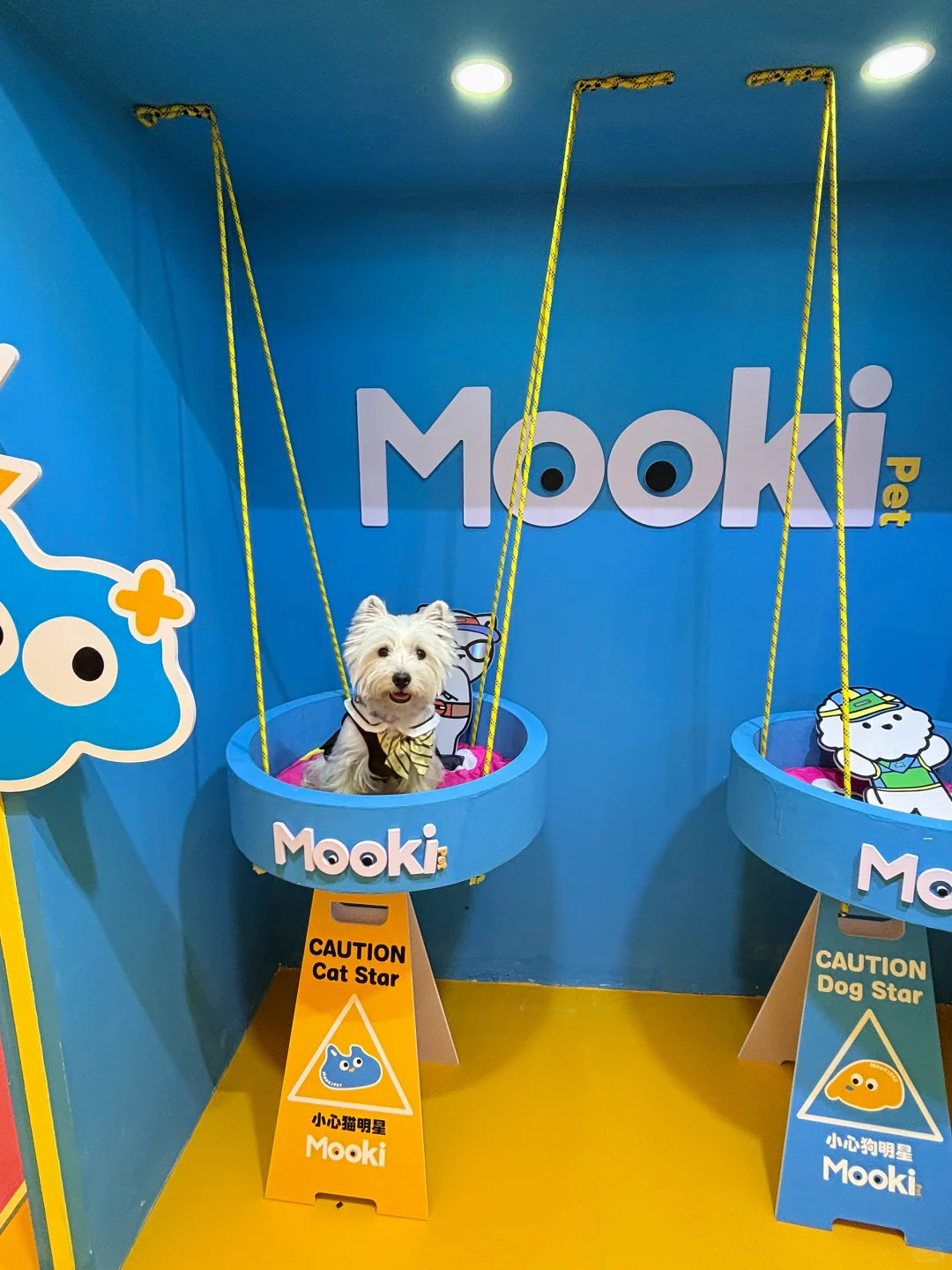 亚宠展 和小?一起逛 最开心?