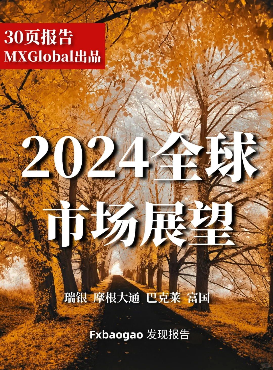 30页报告|2024全球市场展望