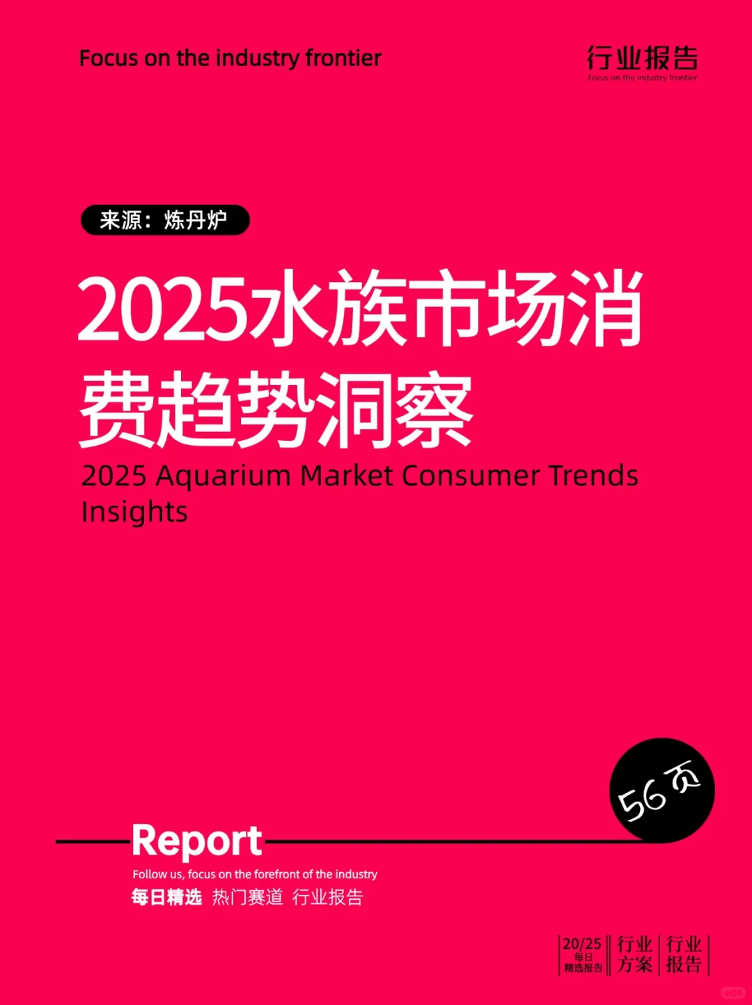 2025水族市场消费趋势洞察