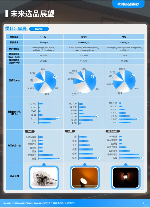 2025全球电商消费趋势及选品洞察报告