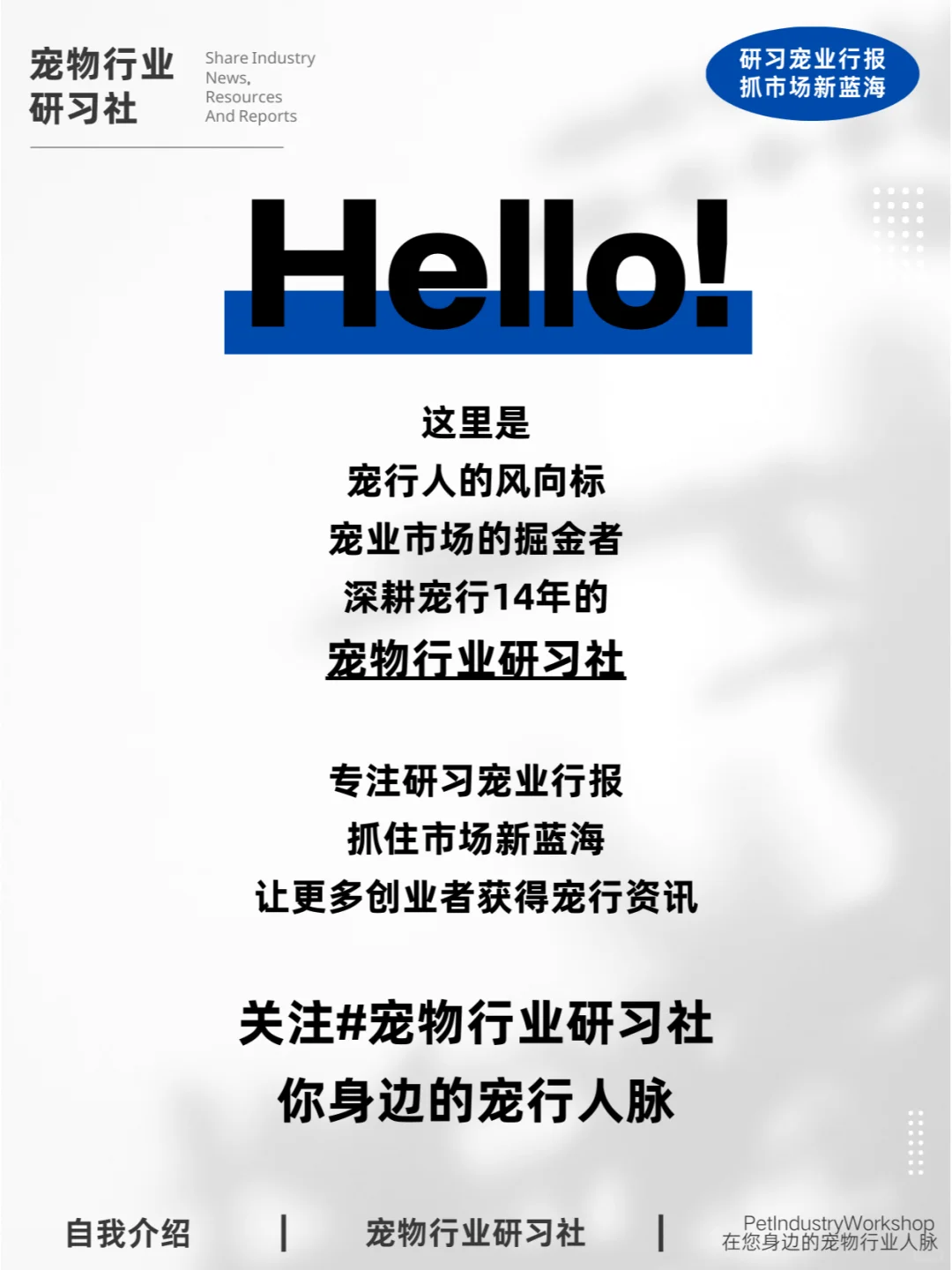 宠物行业报告解读|2024宠物玩具全球趋势