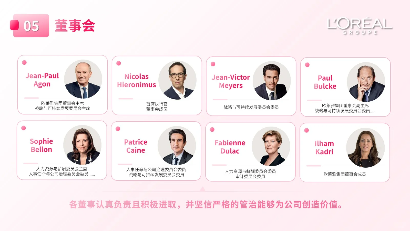 欧莱雅品牌分析23页