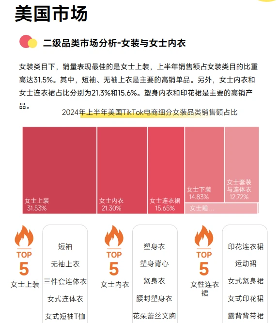 73页❗️2024上半年Tk电商数据报告分享