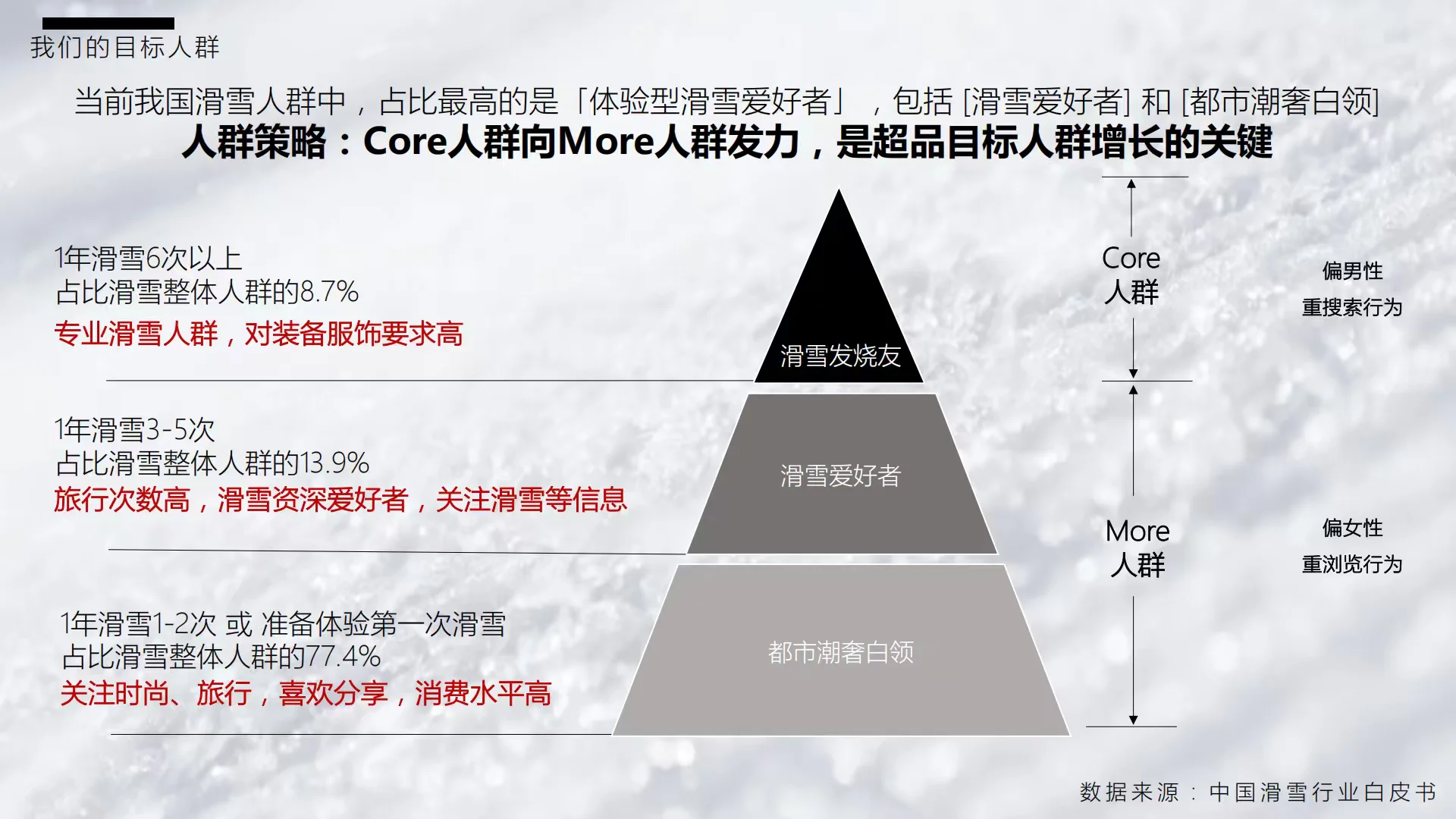迪桑特：超级品牌日营销策略方案