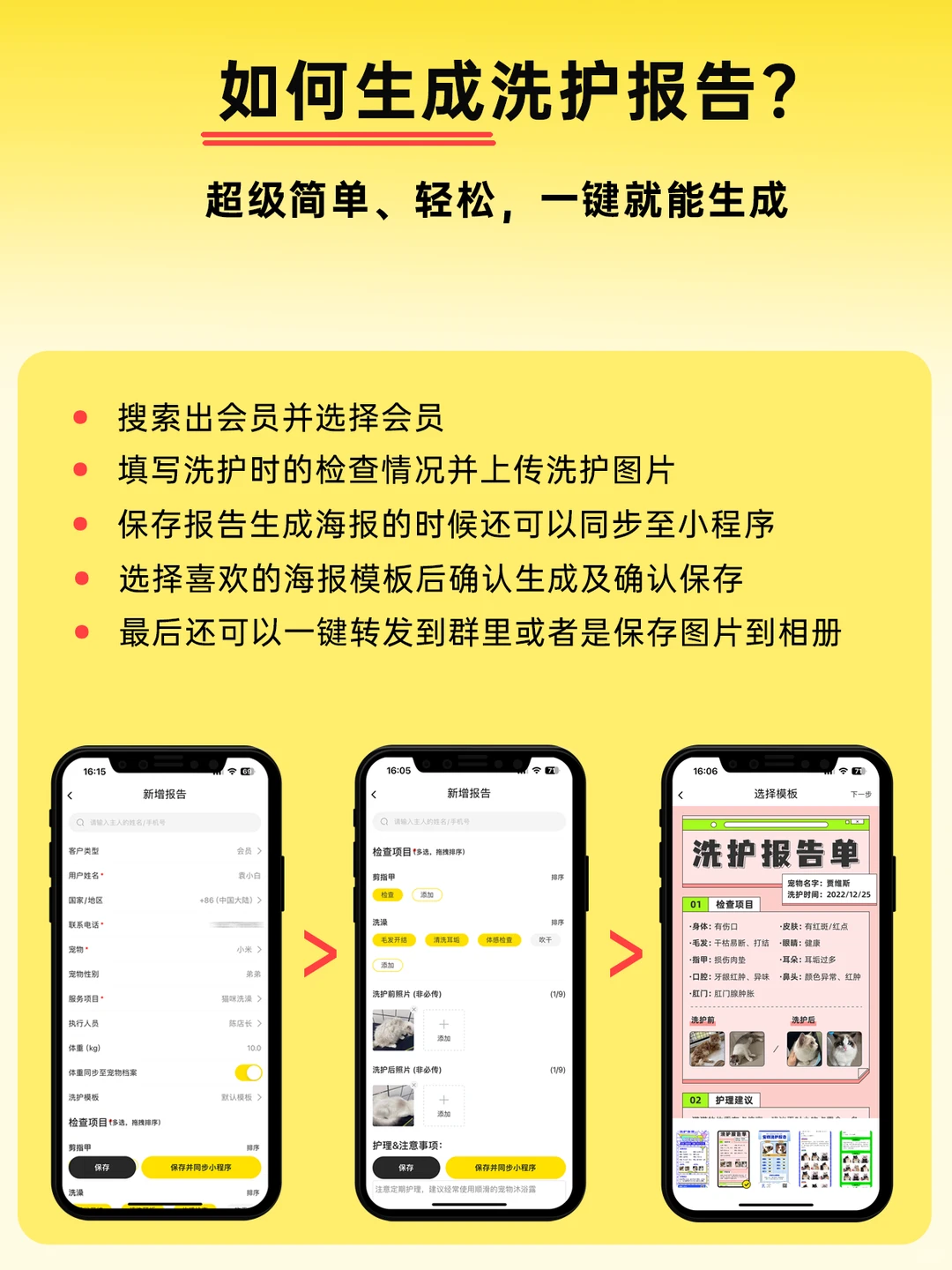 宠物店做完洗护服务后，还能这样做报告？