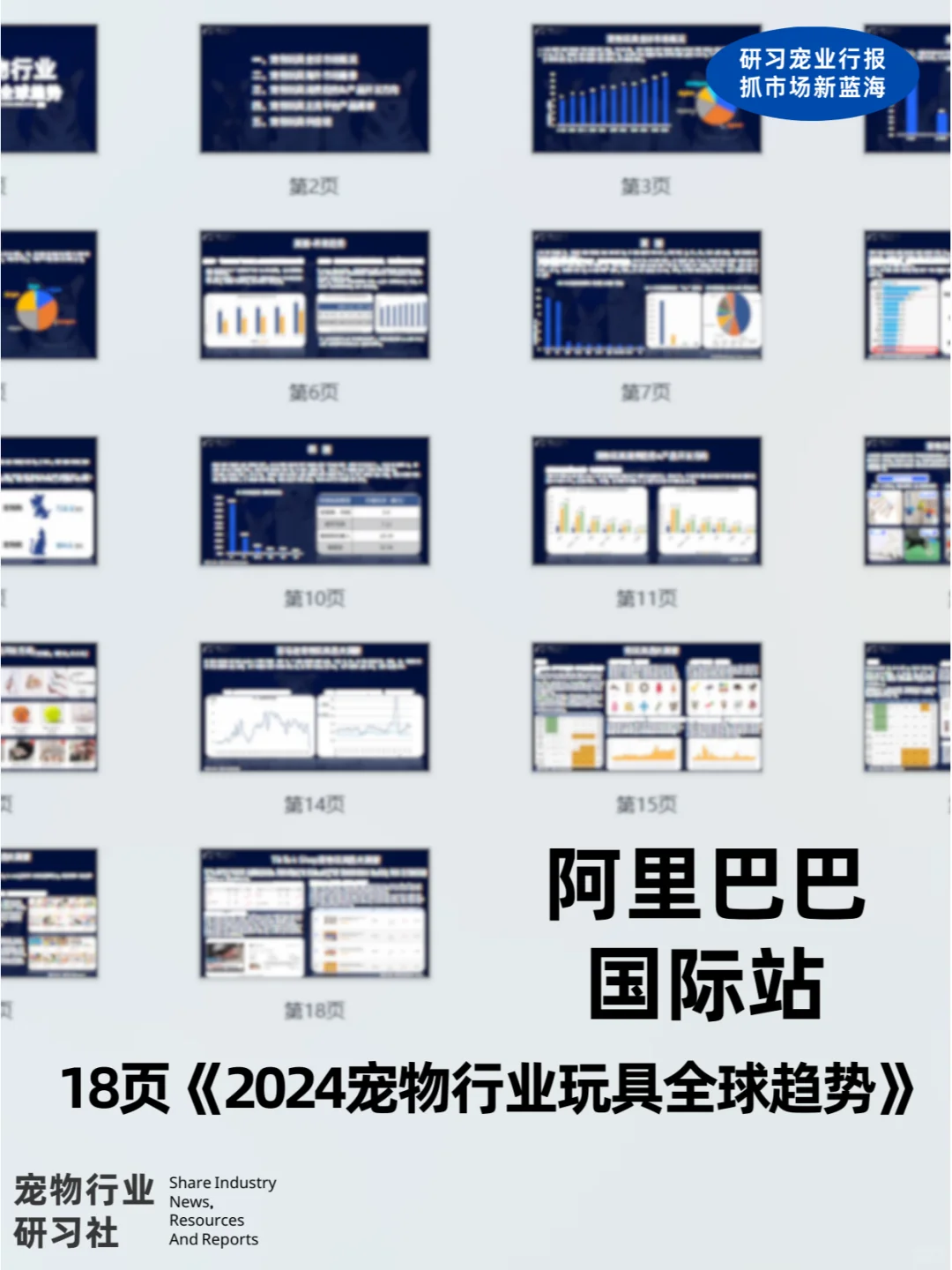 宠物行业报告解读|2024宠物玩具全球趋势